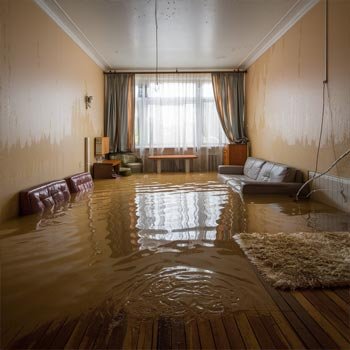 My Los Angeles Water Damage Restoration